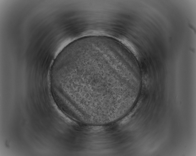 X0000091891382200709191208