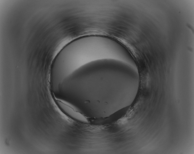 X0000091891383200709191208