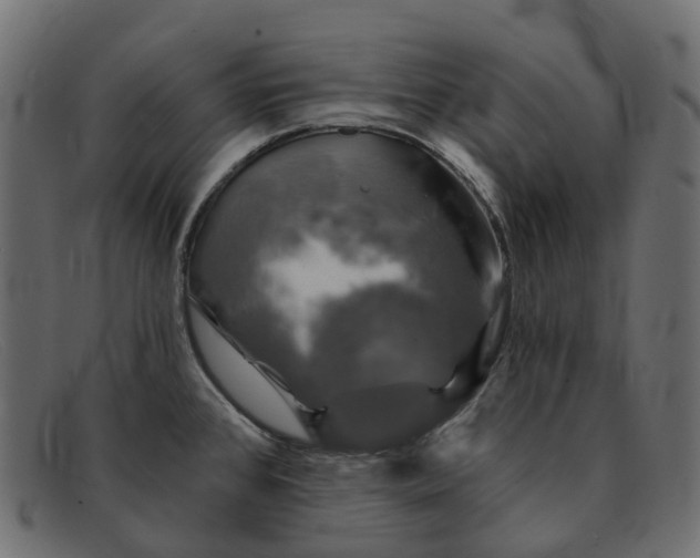 X0000091891384200709191208
