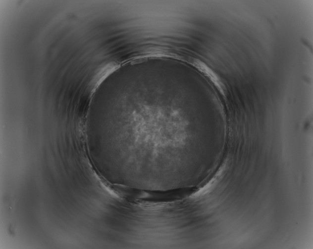 X0000091891385200709191208