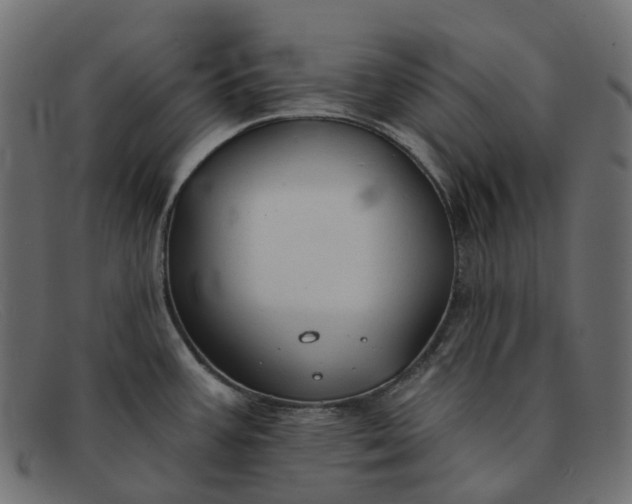 X0000091891387200709191208