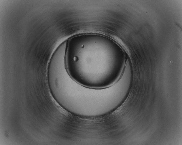 X0000091891388200709191208