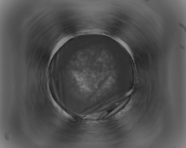 X0000091891389200709191208