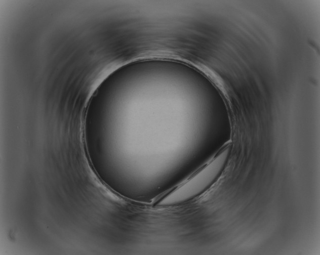 X0000091891390200709191208