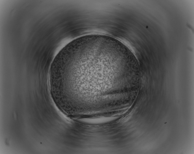 X0000091891391200709191208