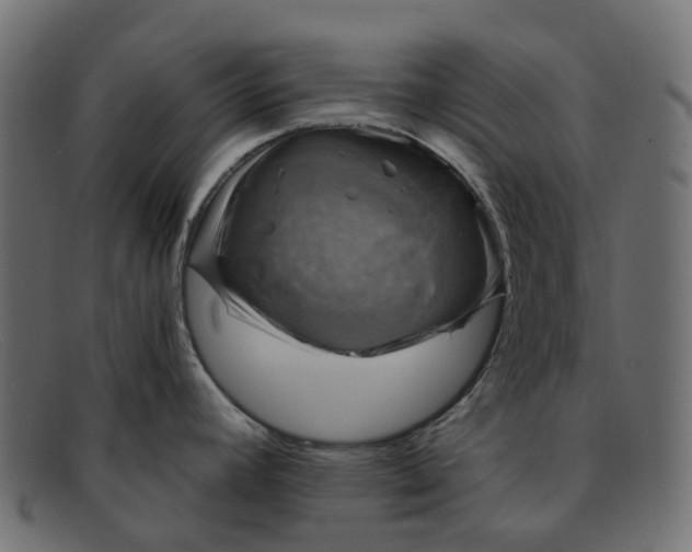 X0000091891392200709191208
