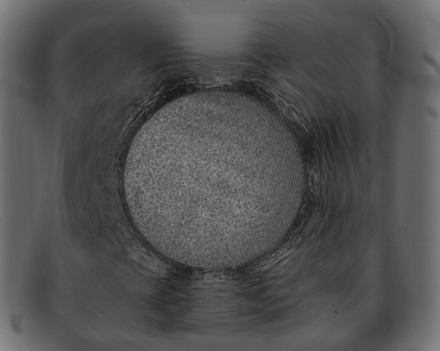X0000091891393200709191207