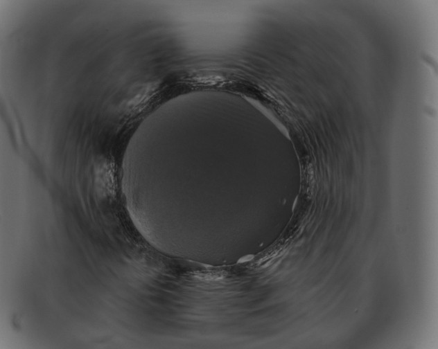 X0000091891394200709191207
