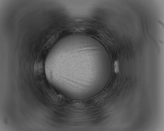 X0000091891395200709191207