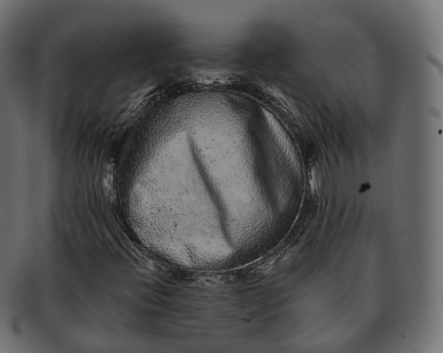 X0000091891396200709191207