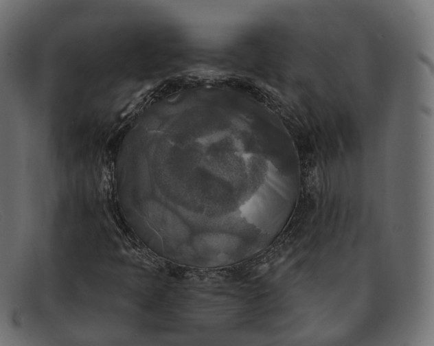 X0000091891397200709191207