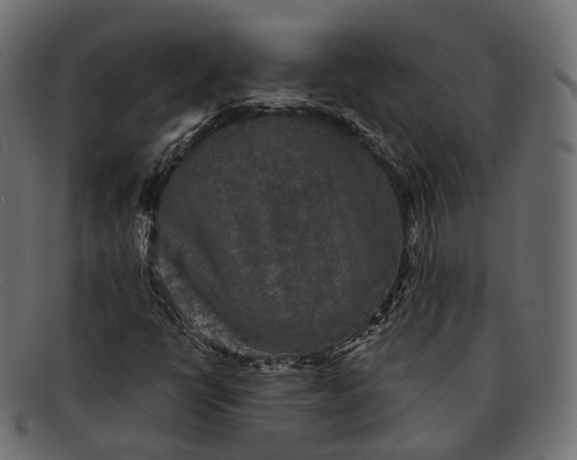 X0000091891398200709191207