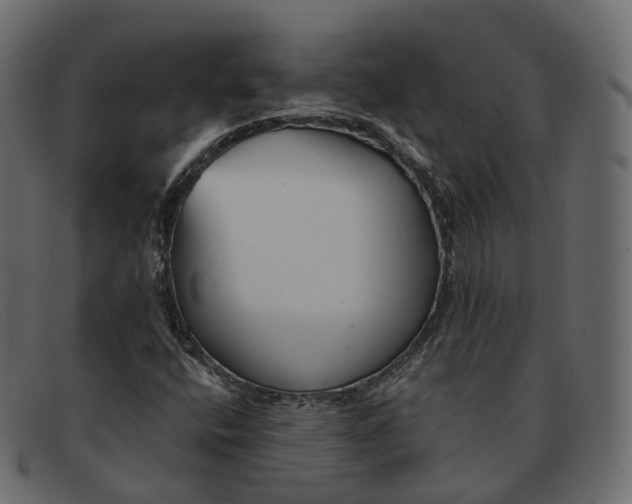 X0000091891400200709191207