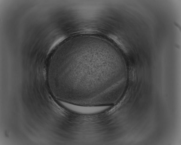 X0000091891402200709191207
