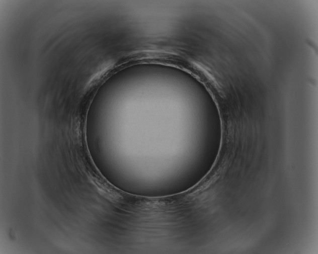 X0000091891403200709191208