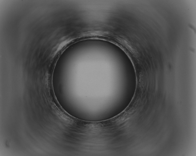 X0000091891404200709191208