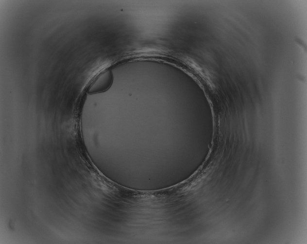 X0000091891405200709191208