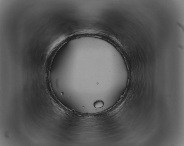 X0000091891406200709191208