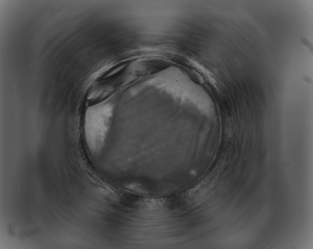 X0000091891411200709191208