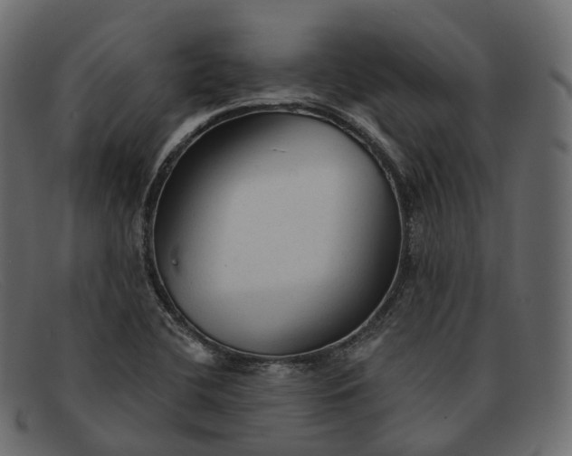 X0000091891412200709191208