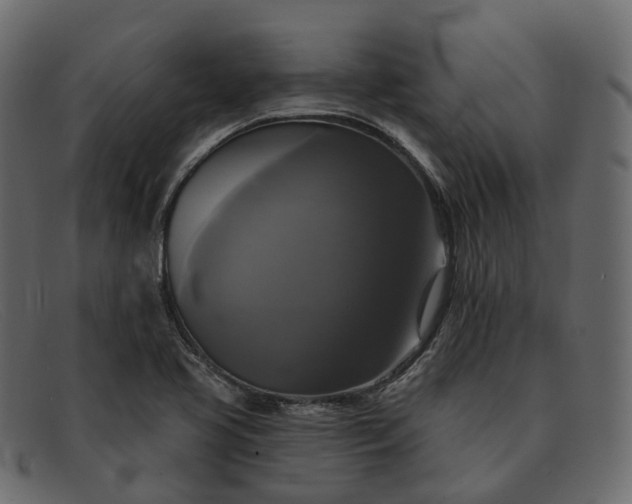 X0000091891413200709191208