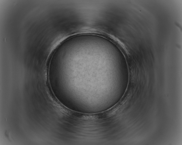 X0000091891415200709191208