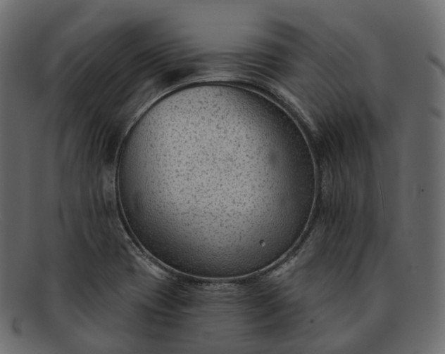 X0000091891417200709191208