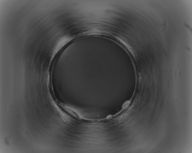 X0000091891418200709191208