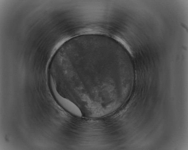X0000091891419200709191208
