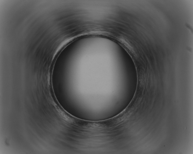 X0000091891420200709191208