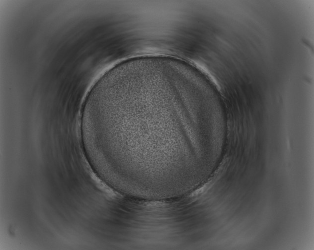 X0000091891421200709191208