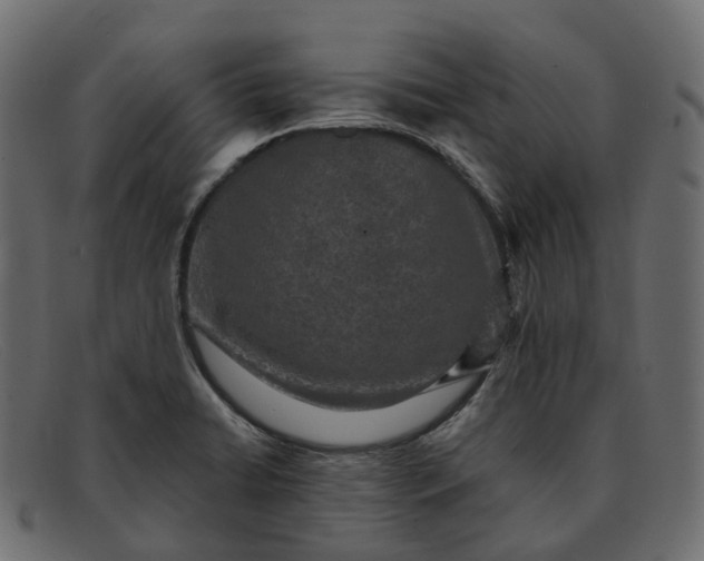 X0000091891422200709191208