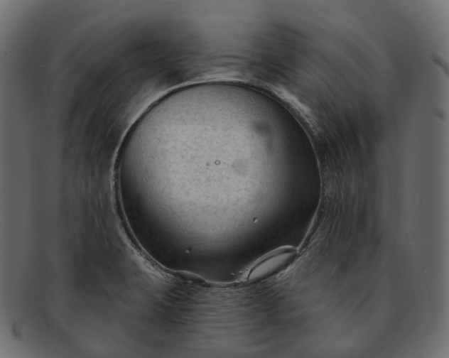 X0000091891423200709191208