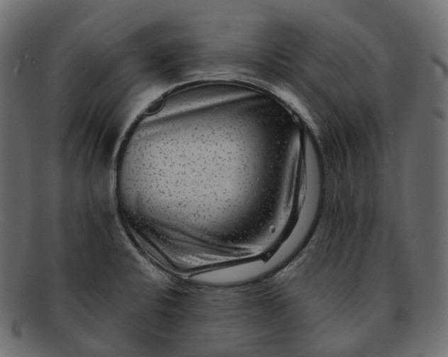 X0000091891424200709191208