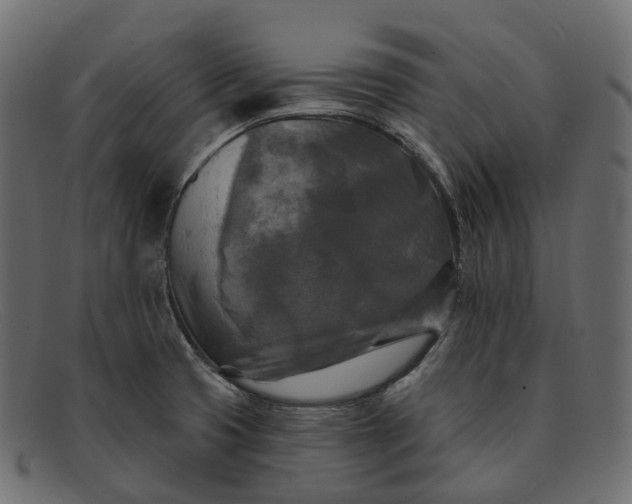 X0000091891425200709191208
