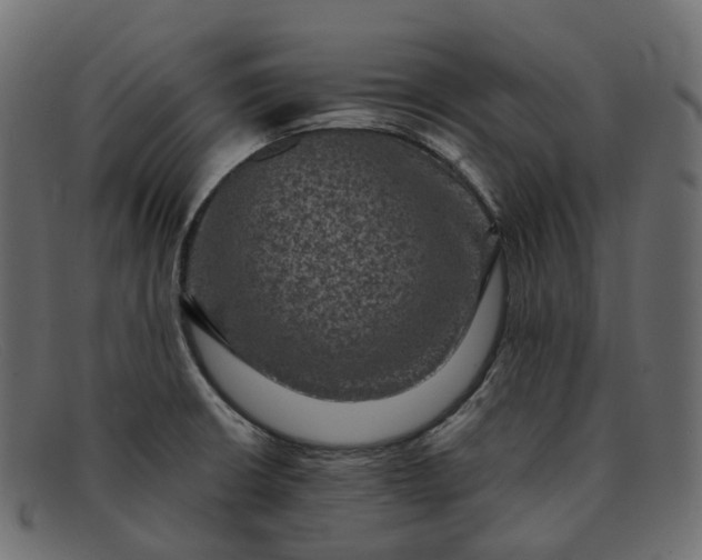 X0000091891426200709191208