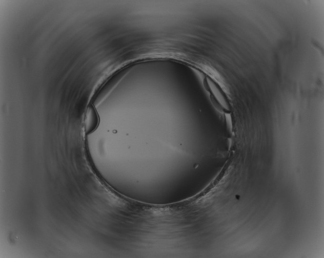 X0000091891428200709191208