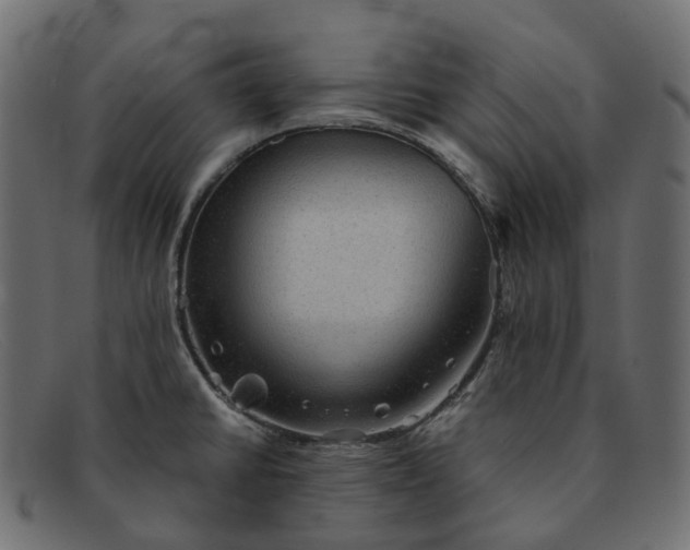 X0000091891430200709191208