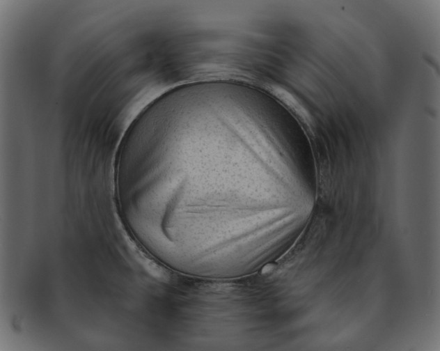 X0000091891431200709191208