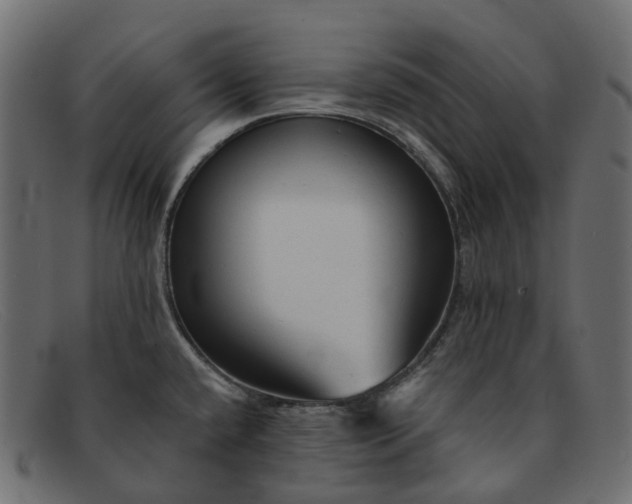 X0000091891432200709191208