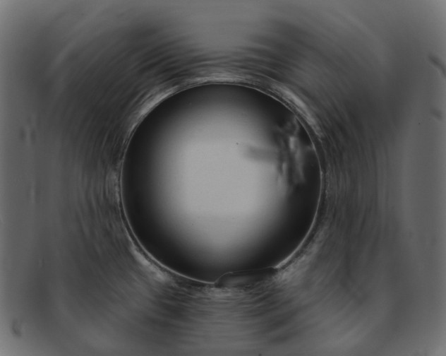 X0000091891433200709191208