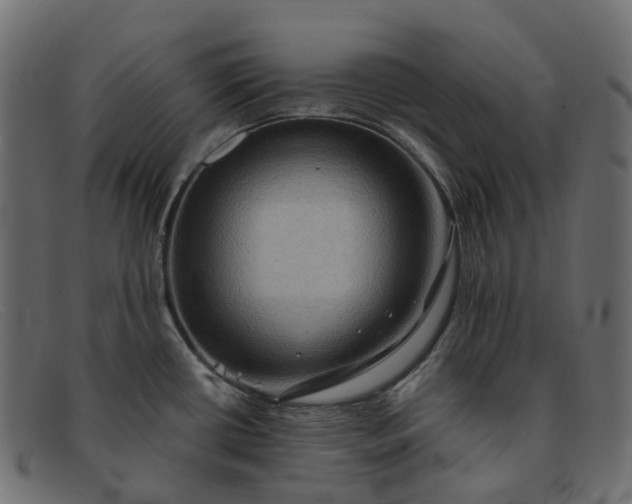 X0000091891434200709191208