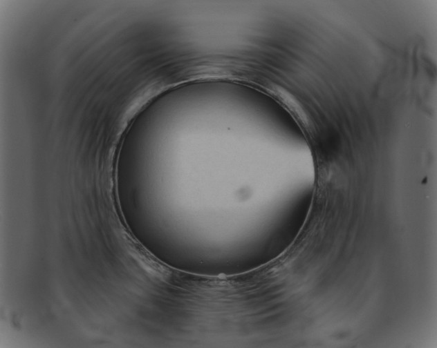 X0000091891435200709191208