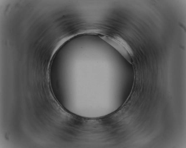 X0000091891436200709191208