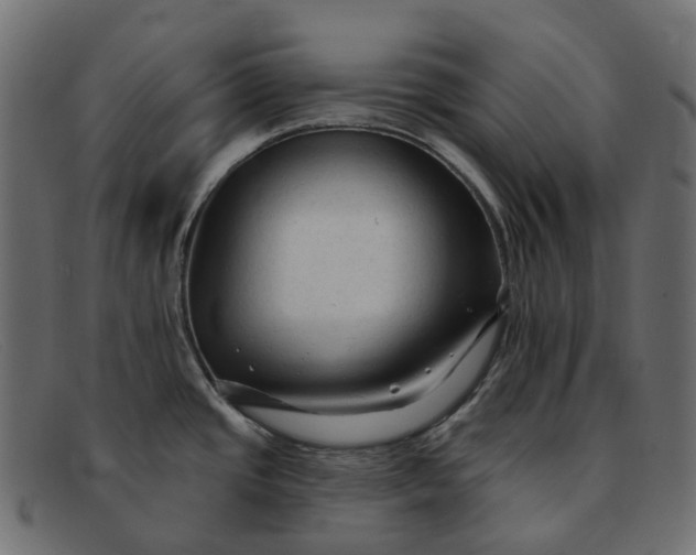 X0000091891437200709191208