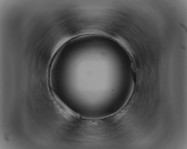 X0000091891438200709191208