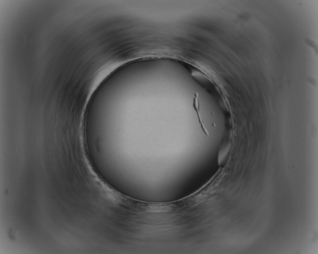 X0000091891440200709191208