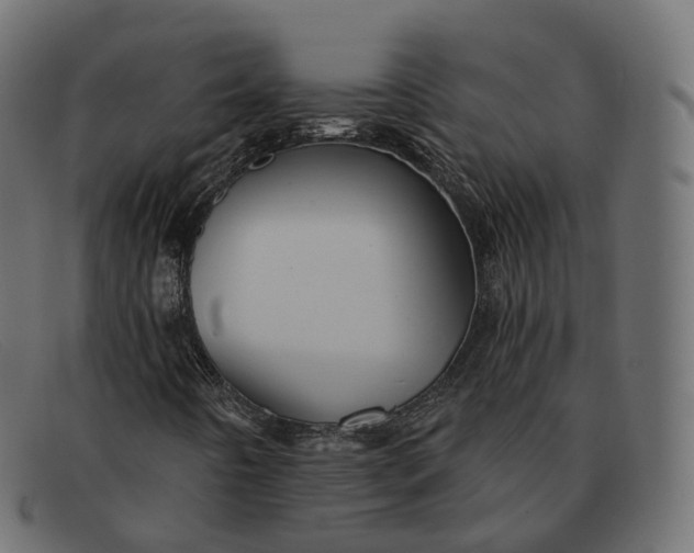 X0000091891442200709191207