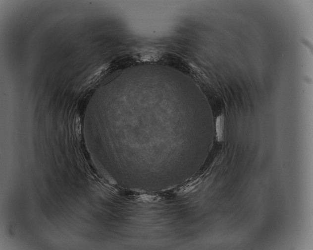X0000091891443200709191207