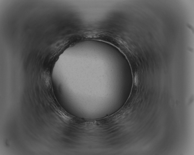X0000091891444200709191207